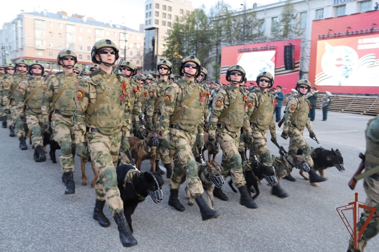 Парады в честь 80-летия Великой Победы прошли по всей стране с участием росгвардейцев (видео)