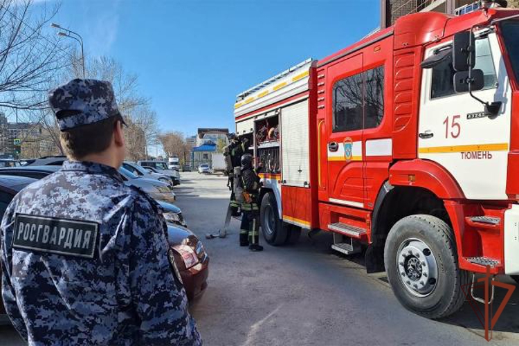 Совместные тренировки Росгвардии и МЧС состоялись в Тюменской области