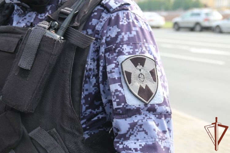 В Санкт-Петербурге росгвардейцы задержали хулигана, проникшего на крышу Кунсткамеры (видео)