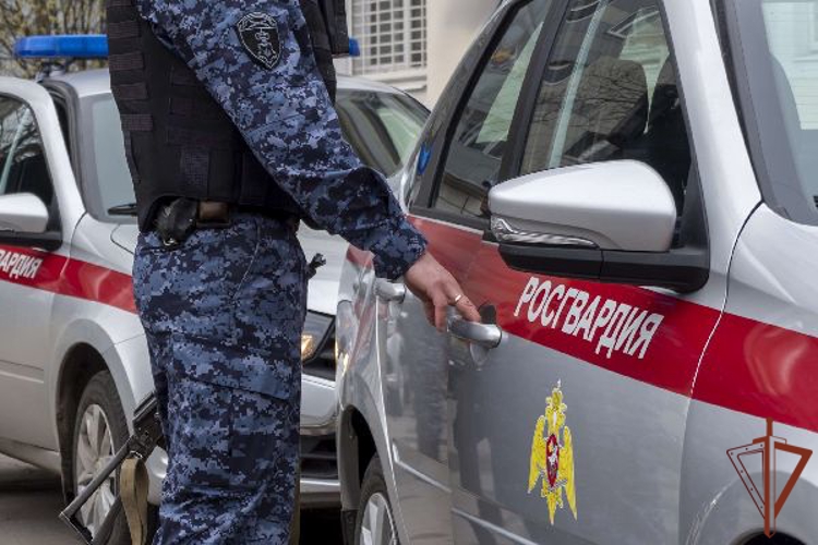 Петербургские росгвардейцы задержали нетрезвого мужчину, в квартире которого был обнаружен арсенал страйкбольного оружия