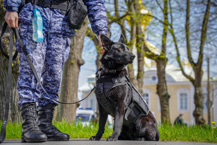 Росгвардейцы обеспечили безопасность весеннего праздника фонтанов в Петергофе