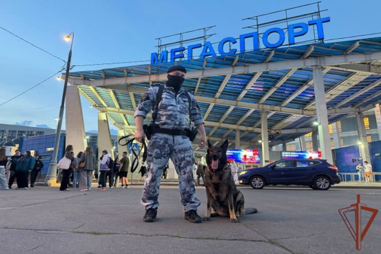 Росгвардия обеспечила безопасность баскетбольного матча в Москве
