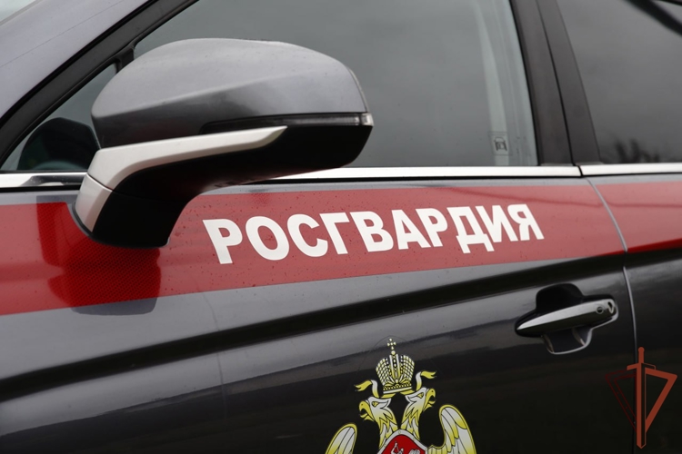 Сотрудники Росгвардии в Москве пришли на помощь женщине, получившей травму при падении с самоката (видео)