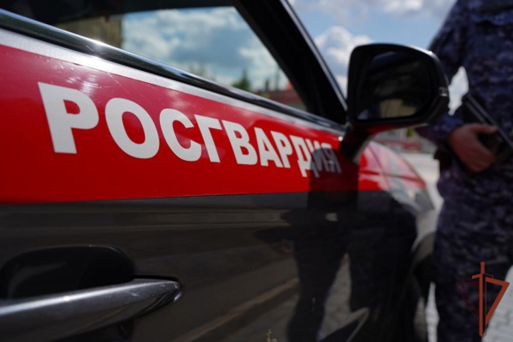 Росгвардейцы задержали подозреваемого в нанесении ножевых ранений в московском хостеле (видео)