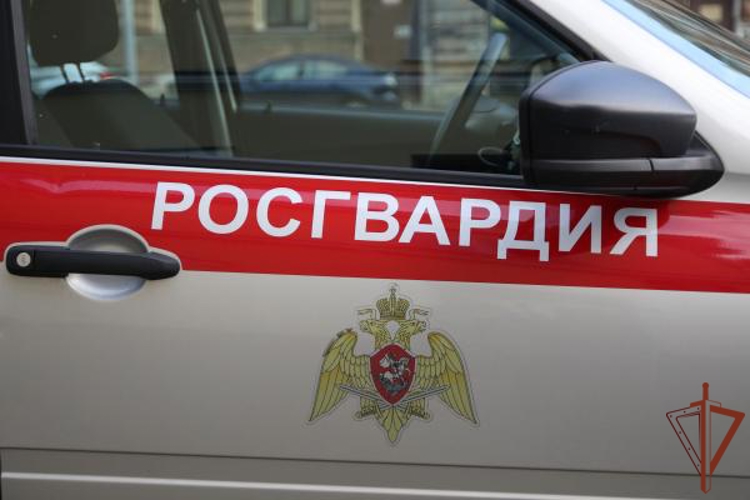 Сотрудники Росгвардии совместно с неравнодушными гражданами предотвратили трагедию в Красноярске