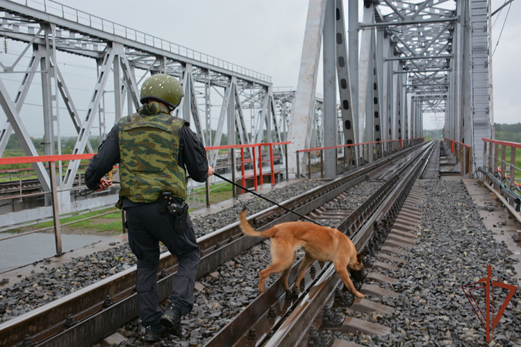 Росгвардия в Тюменской области приняла участие в межведомственном антитеррористическом учении (видео)