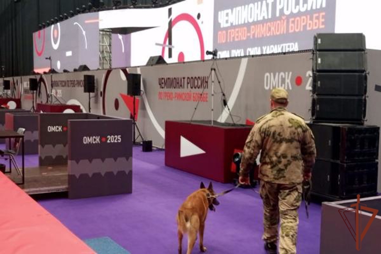 Росгвардия обеспечила охрану общественного порядка во время масштабных спортивных мероприятий в Сибири