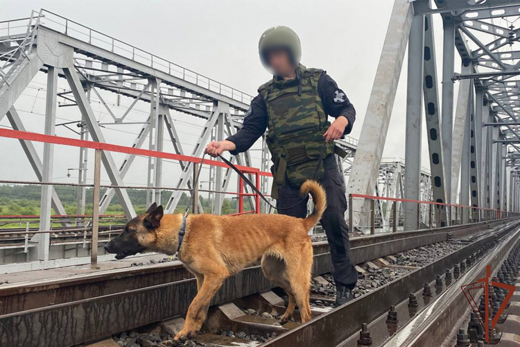 Росгвардия в Тюменской области приняла участие в межведомственном антитеррористическом учении (видео)