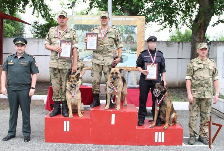 Чемпионат Уральского округа Росгвардии по многоборью кинологов завершился в Тюмени