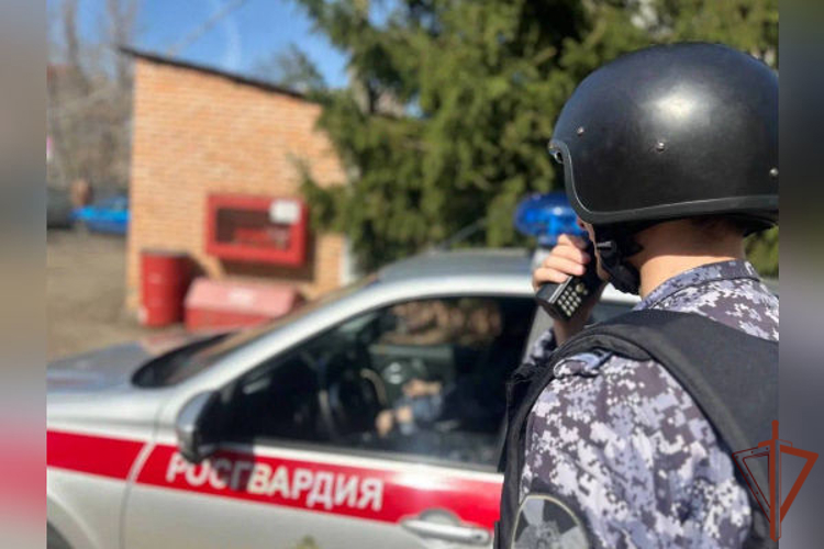 Росгвардейцы в Подмосковье задержали подозреваемого в нанесении ножевых ранений  