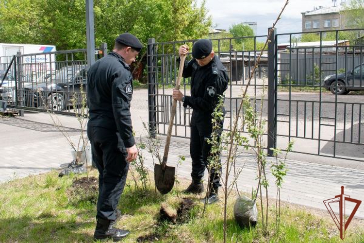 Сотрудники Росгвардии приняли участие в патриотических акциях в регионах Сибири