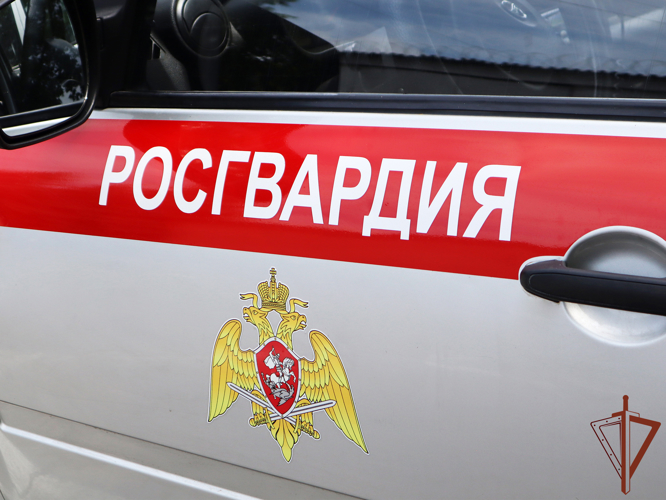 На Ставрополье росгвардейцы оказали помощь пострадавшей в ДТП женщине