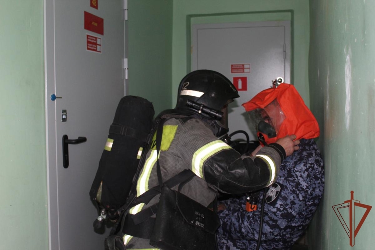 В Республике Коми прошло совместное учение Росгвардии и МЧС