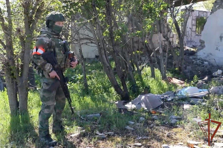 Схроны с оружием и боеприпасами натовского производства обнаружили росгвардейцы в ЛНР (видео)