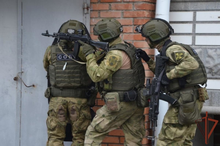 В Самарской области при силовой поддержке СОБР Росгвардии задержан подозреваемый в организации заказного убийства