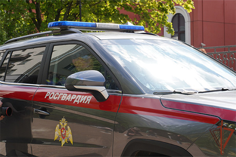 В Москве росгвардейцы пришли на помощь мужчине, опаздывавшему из-за заглохшего автомобиля на свадьбу (видео)