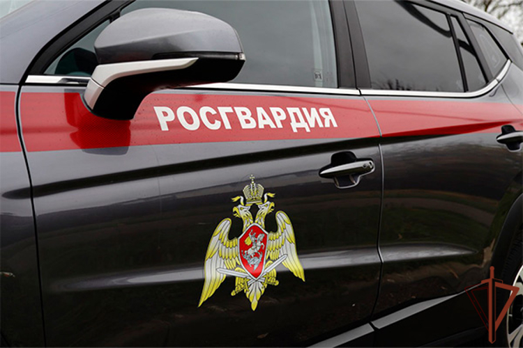 Сотрудники Росгвардии в Москве задержали курьера мошенников (видео)