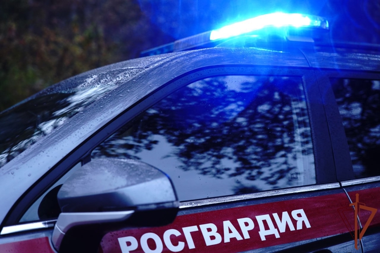 Росгвардейцы в Москве вернули отцу потерявшегося ребёнка (видео)