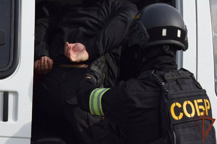 Подозреваемые в незаконном обороте наркотических средств в Саратове задержаны при содействии спецназа Росгвардии