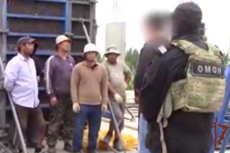 При содействии спецназа Росгвардии в Омской области выявлено более 400 нарушений в сфере миграции 