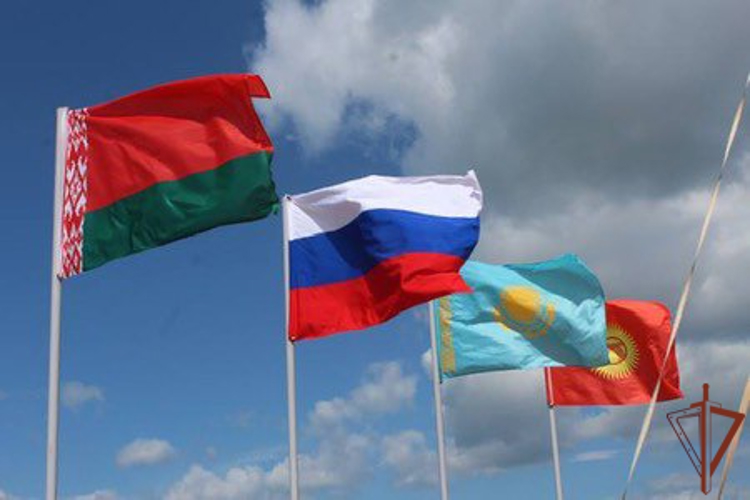 Представители Росгвардии приняли участие в  учениях по локализации и ликвидации очагов опасных заболеваний животных (видео)