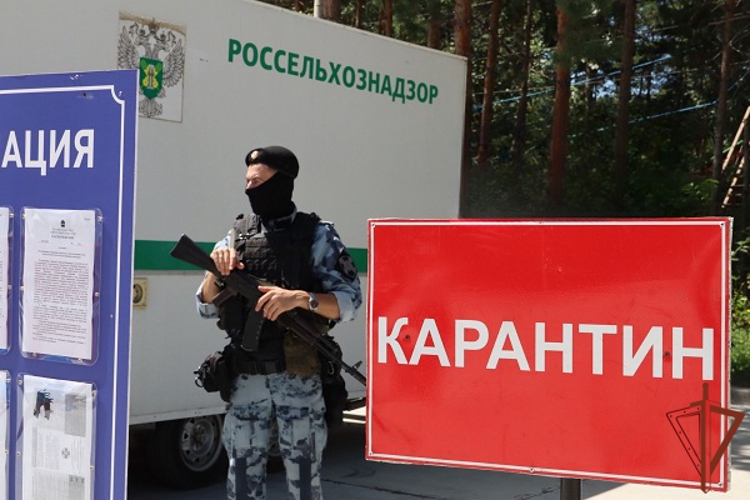 В Благовещенске Росгвардия приняла участие в учении по ликвидации очага опасного заболевания животных