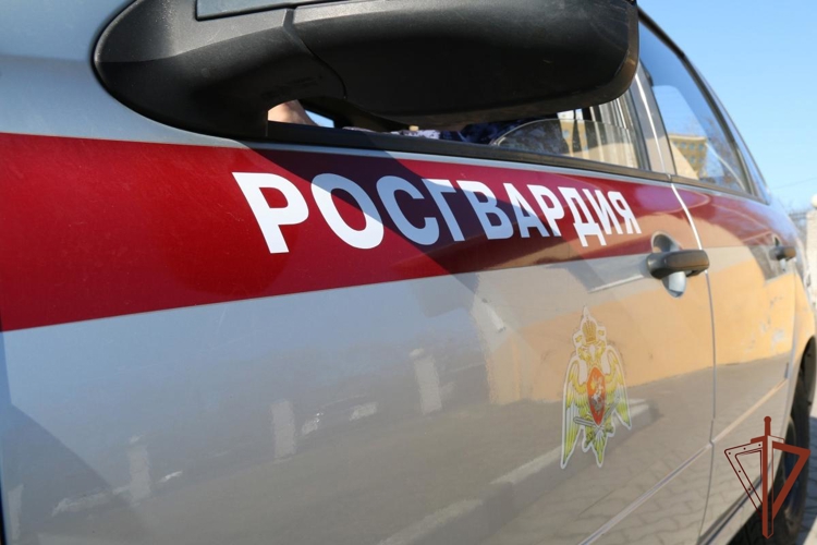 В Санкт-Петербурге росгвардейцы задержали злоумышленника, пытавшегося поджечь отделение банка коктейлем Молотова