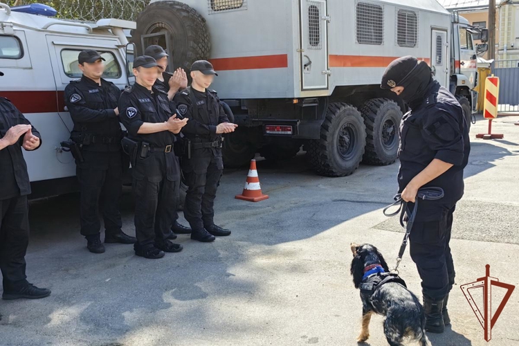 В петербургском ОМОН «Балтика» с почётом проводили на пенсию служебную минно-разыскную собаку