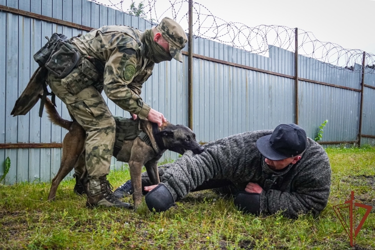 В Северо-Западном округе Росгвардии стартовал летний период подготовки