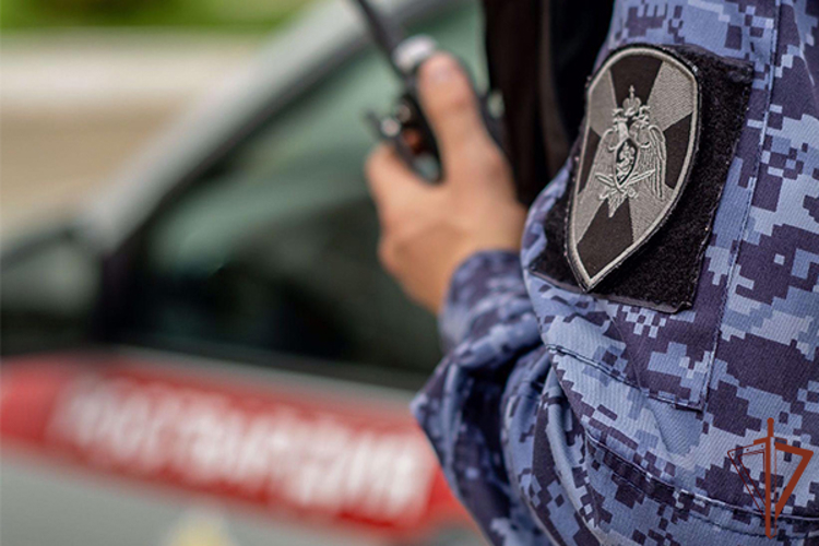 В Нальчике росгвардейцы пресекли массовую драку в общественном месте