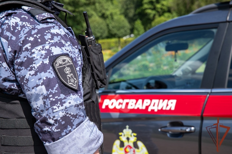 Экипаж Росгвардии пришел на помощь мужчине, получившему травмы при падении с самоката на одной из улиц Москвы (видео)