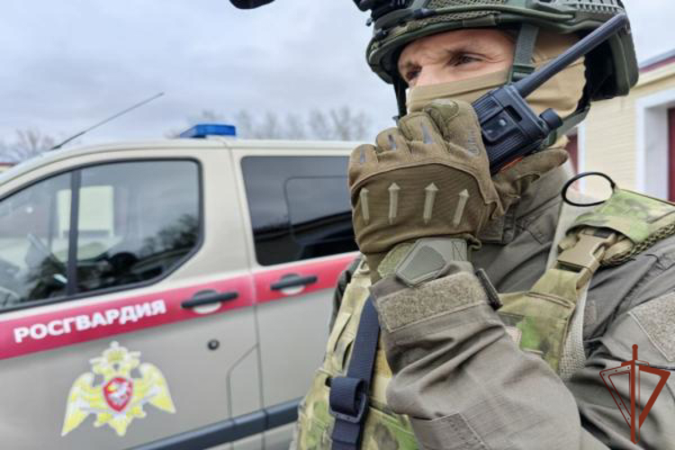  СОБР Росгвардии оказал содействие при задержании в Томске участников мошеннической схемы по обману граждан 