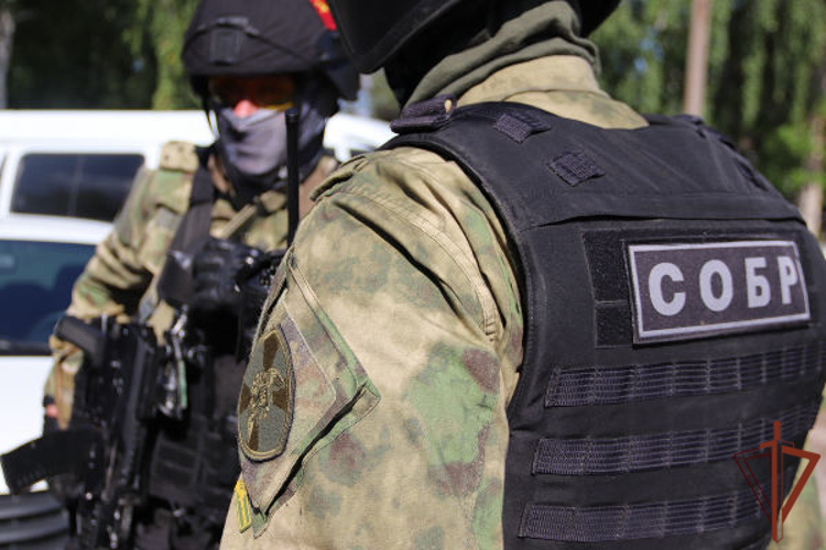 Более 11 килограммов наркотиков изъято при содействии спецназа Росгвардии в Самарской области (видео)
