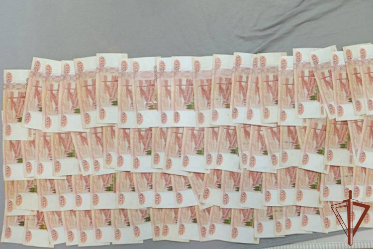 В Магнитогорске при содействии росгвардейцев пресечена деятельность подпольного банка (видео)