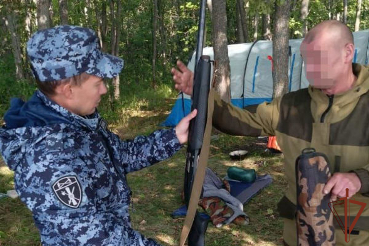 В Удмуртии росгвардейцы принимают участие в профилактических мероприятиях по пресечению нарушений в области охоты и оборота оружия