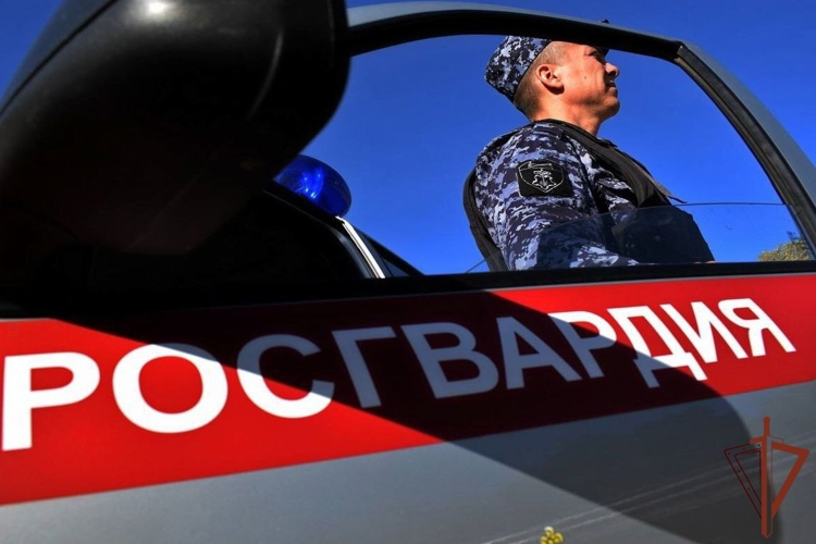 Росгвардейцы уничтожили БПЛА ВСУ в Белгородской области