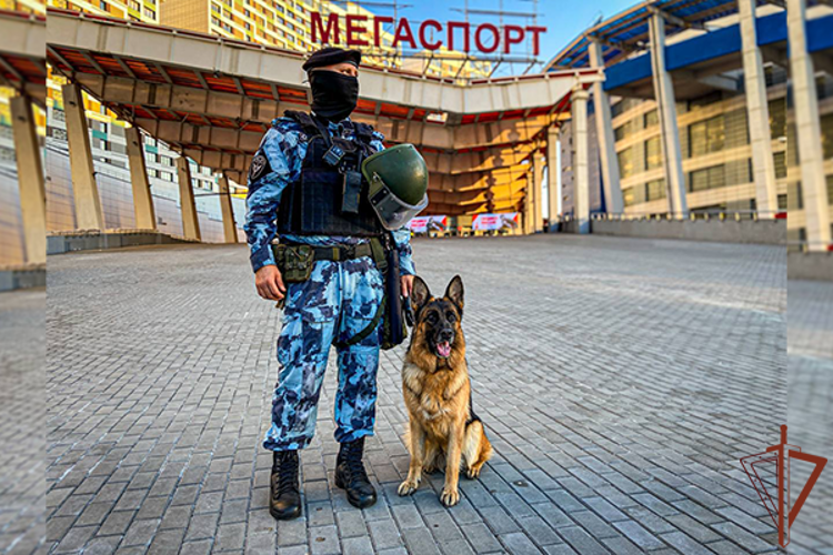 Правопорядок на хоккейном матче в Москве обеспечила Росгвардия