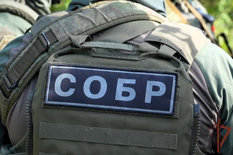 В Архангельской области при силовой поддержке СОБР Росгвардии задержан подозреваемый в покушении на мошенничество 