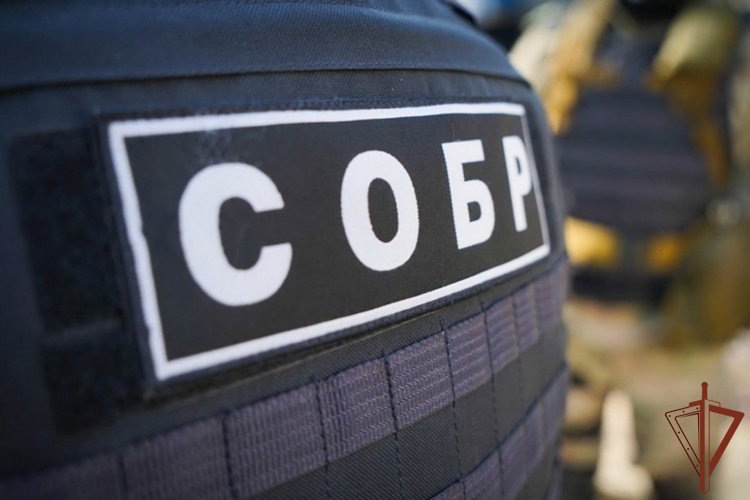 СОБР Росгвардии оказал содействие при задежании подозреваемых в незаконной рубке леса в Свердловской области