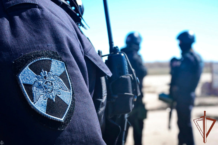 В Воронеже при силовой поддержке спецназа Росгвардии задержан подозреваемый в госизмене (видео)
