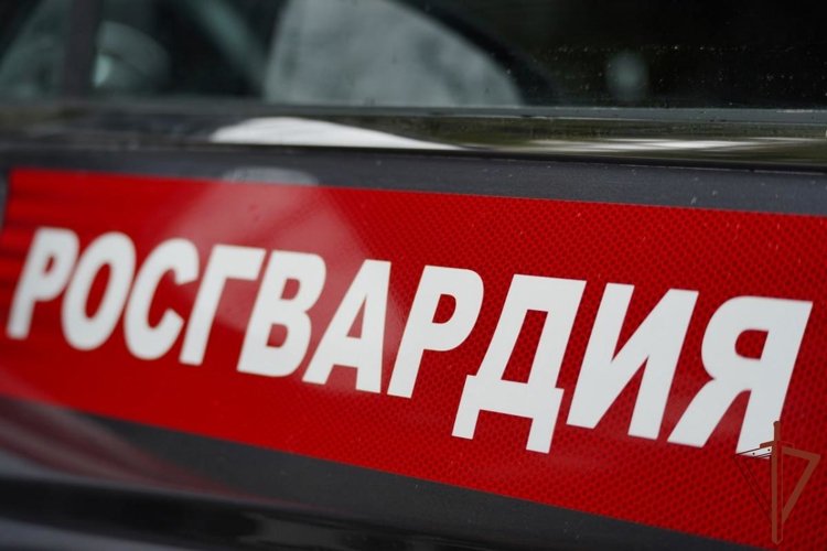 В Москве росгвардейцы оказали помощь пострадавшему в ДТП курьеру (видео)