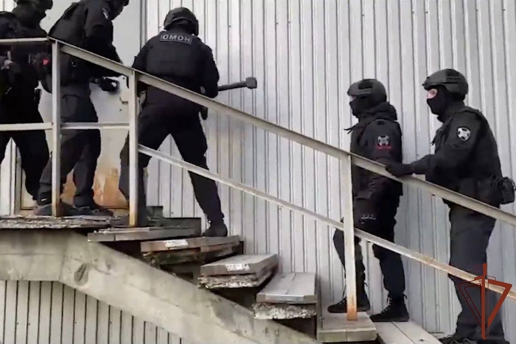 Деятельность подпольного игорного клуба в Мурманской области пресечена при содействии ОМОН Росгвардии (видео)