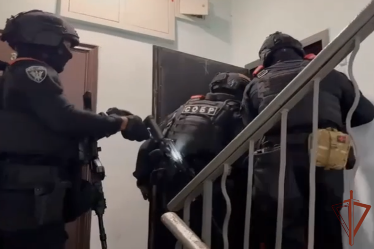 При силовой поддержке СОБР Росгвардии в Москве пресечена крупная мошенническая схема в пунктах выдачи заказов (видео)