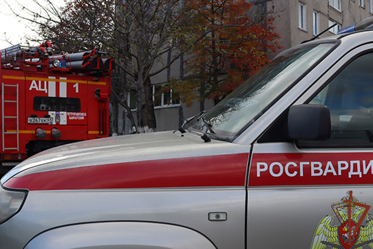 Росгвардия и МЧС России отработали взаимодействие при пожаре на Камчатке