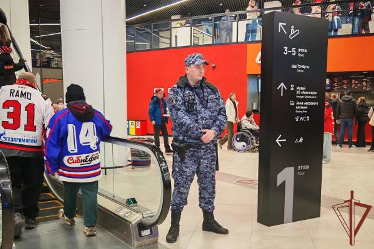 Правопорядок на хоккейных матчах чемпионата КХЛ в Омске обеспечила Росгвардия