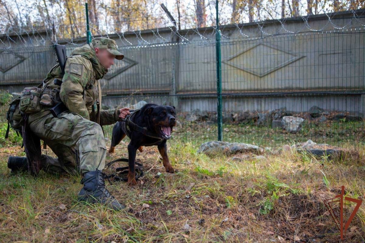 Росгвардейцы провели тренировки по задержанию условных нарушителей в зоне охраны объектов атомной отрасли (видео)