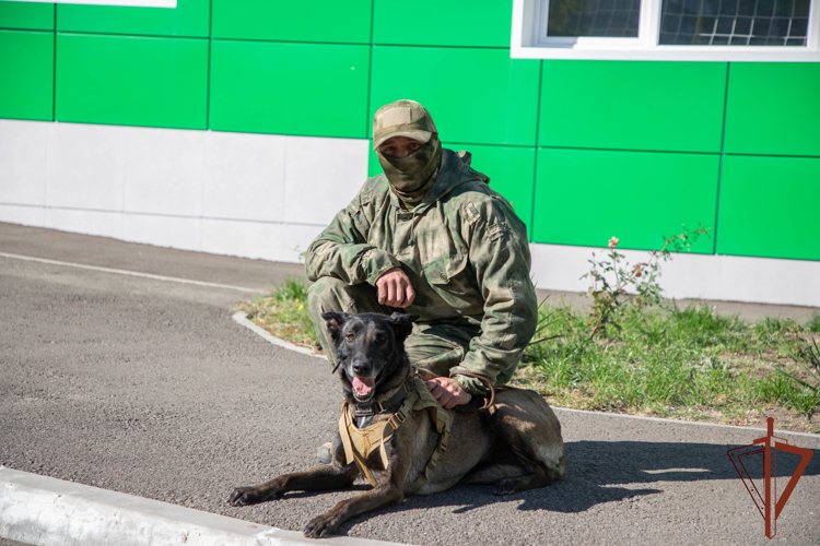 Росгвардейцы совместно с сотрудниками военной контрразведки поздравили с Днем учителя педагогов и воспитанников одной из школ Мариуполя (видео)