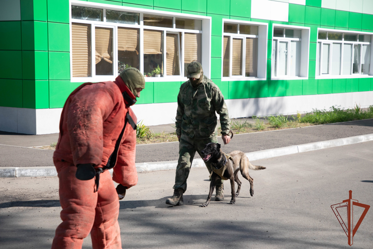 Росгвардейцы совместно с сотрудниками военной контрразведки поздравили с Днем учителя педагогов и воспитанников одной из школ Мариуполя (видео)