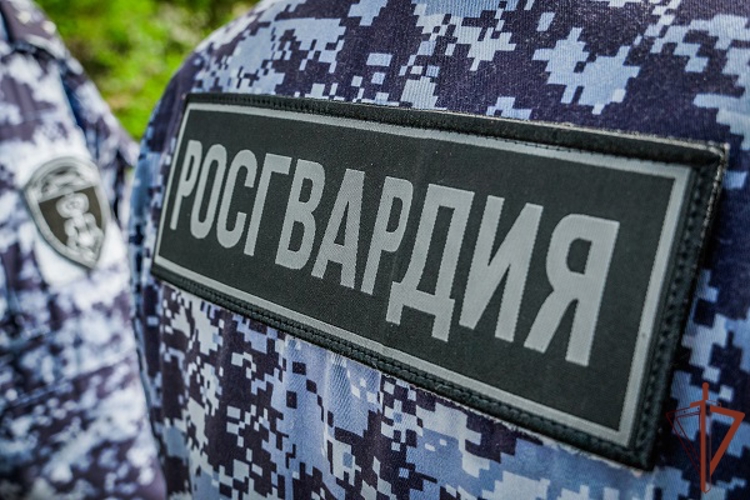 В Адыгее Росгвардия обеспечила правопорядок в День Республики 
