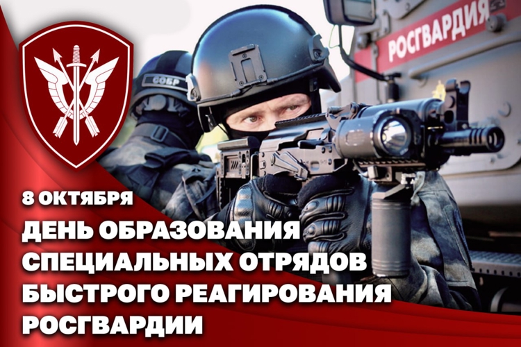 Директор Росгвардии Герой России генерал армии Виктор Золотов поздравил личный состав и ветеранов СОБР с профессиональным праздником